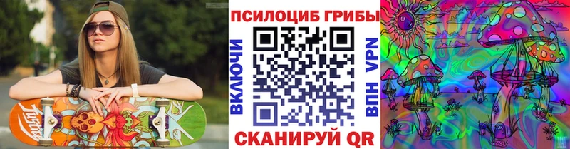 Псилоцибиновые грибы Psilocybine cubensis  Купить закладки  Озёры 